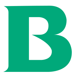 Braun logo