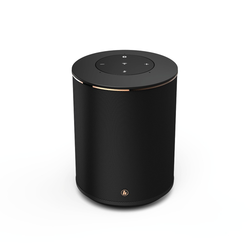 Hama 54859 Mono portable speaker Black