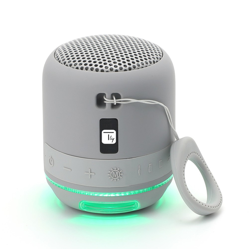 Techly ICASBL94GR portable/party speaker Grey 5 W