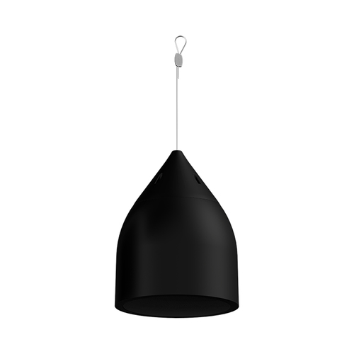 Biamp Desono DP6 Two-Way 6.5-inch High Output Pendant Mount Loudspeaker Black