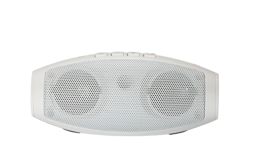 Freecom Bluetooth Speaker