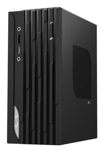 MSI PRO DP20ZA 5M-049EU PC/workstation AMD Ryzen™ 3 5300G 8 GB DDR4-SDRAM 256 GB SSD Windows 11 Pro Mini PC Black