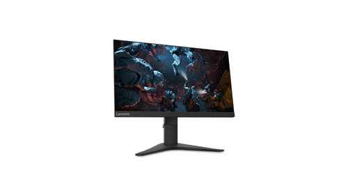 Lenovo G25-10 Monitor