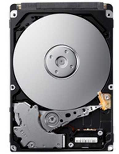 Samsung Spinpoint M HN-M320MBB internal hard drive 320 GB 5400 RPM 8 MB 2.5″ Serial ATA II