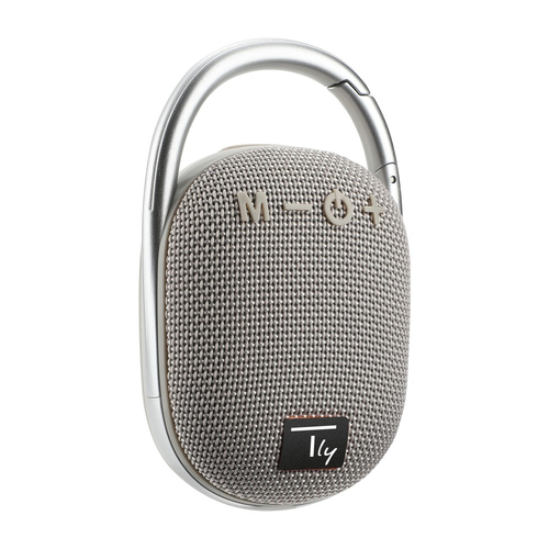 Techly ICASBL321GR portable/party speaker Mono portable speaker Grey 5 W