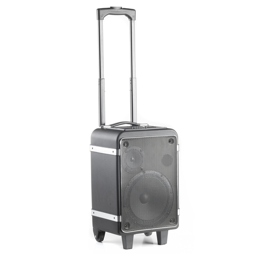 NGS WILDFUNKY portable/party speaker Black 40 W